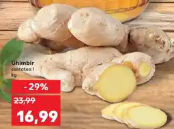 Kaufland Ghimbir Ofertă