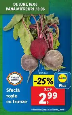 Lidl Sfeclă roșie cu frunze Ofertă