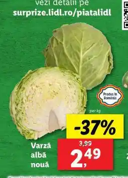 Lidl Varză albă nouă Ofertă