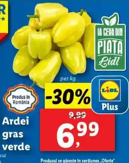 Lidl Ardei gras verde Ofertă
