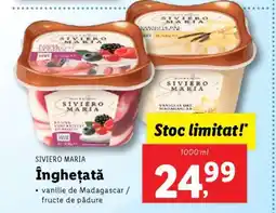 Lidl SIVIERO MARIA Îngheţată Ofertă