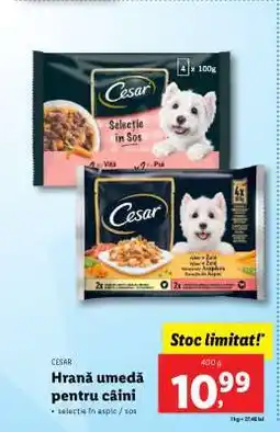 Lidl CESAR Hrană umedă pentru câini Ofertă