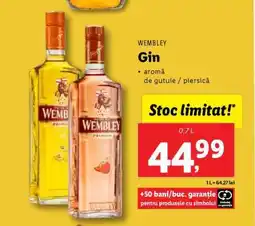 Lidl WEMBLEY Gin Ofertă
