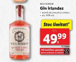 Lidl Gin irlandez Wild Burrow Ofertă