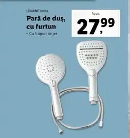 Lidl Pară de duș, cu furtun Ofertă