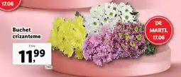 Lidl Buchet crizanteme Ofertă
