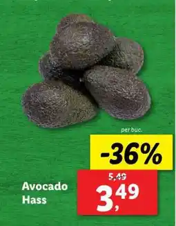 Lidl Avocado Hass Ofertă