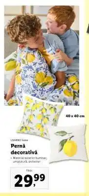Lidl Pernă decorativă Ofertă