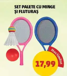 Penny Set palete cu minge și fluturaș Ofertă