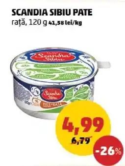 Penny SCANDIA SIBIU Pate Ofertă