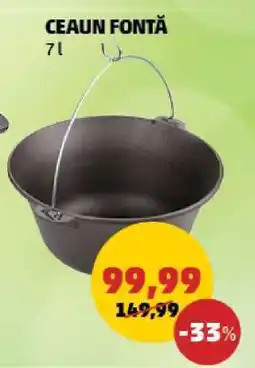 Penny CEAUN FONTĂ Ofertă