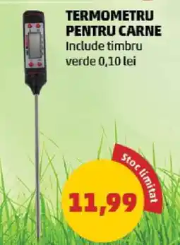 Penny Termometru pentru carne Ofertă