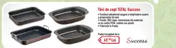 Carrefour Tăvi de copt TEFAL Success Ofertă