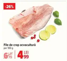 Carrefour File de crap acvacultură Ofertă