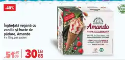 Carrefour Înghețată vegană cu vanilie și fructe de pădure, Amando Ofertă