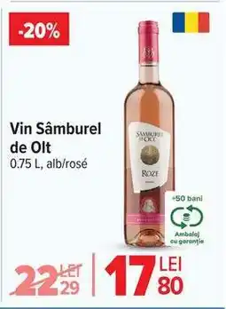 Carrefour Vin Sâmburel de Olt Ofertă