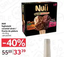 Selgros NUII Înghețată caramel sărat / fructe de pădure Ofertă