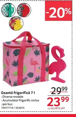 Selgros Geantă frigorifică Ofertă