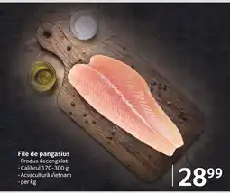Selgros File de pangasius Ofertă