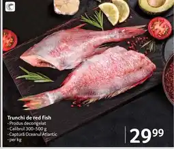 Selgros Trunchi de red fish Ofertă