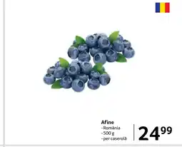 Selgros Afine Ofertă