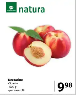 Selgros Nectarine Ofertă
