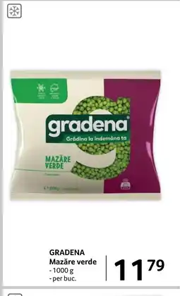 Selgros GRADENA Mazăre verde Ofertă