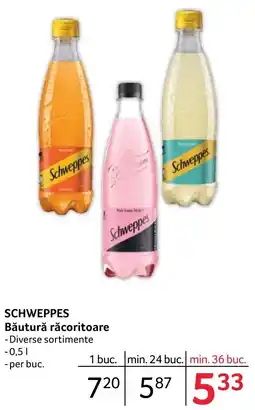 Selgros SCHWEPPES Băutură răcoritoare Ofertă
