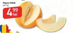 Supeco Pepene GALIA Ofertă