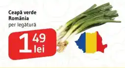 Supeco Ceapă verde România Ofertă
