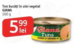 Supeco Ton bucăţi în ulei vegetal GIANA Ofertă