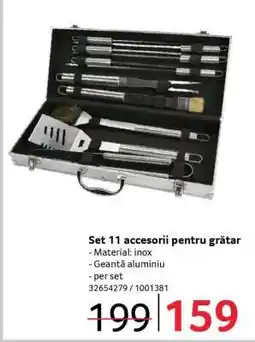 Selgros Set 11 accesorii pentru grătar Ofertă