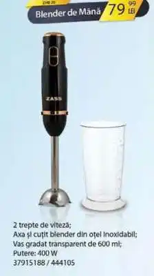 Selgros Blender de Mână Ofertă