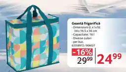 Selgros Geantă frigorifică Ofertă
