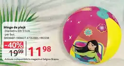 Selgros Minge de plajă Ofertă