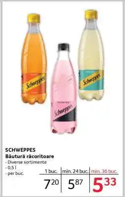 Selgros SCHWEPPES Ofertă