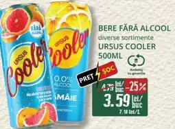 Diana Supermarket URSUS COOLER Bere fără alcool Ofertă