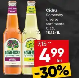 PROFI Cidru Somersby Ofertă