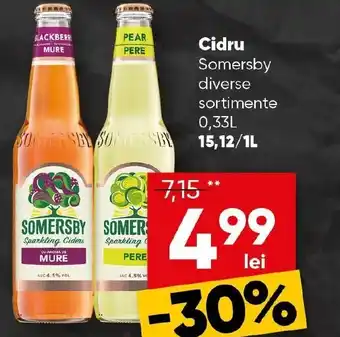 PROFI Cidru Somersby Ofertă