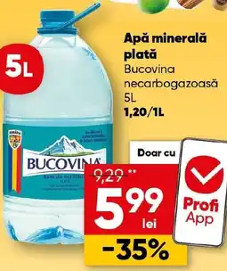 PROFI Apă minerală plată Bucovina necarbogazoasă Ofertă