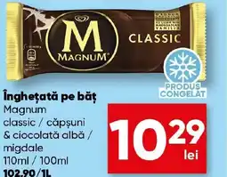 PROFI Îngheţată pe băţ Magnum Ofertă