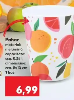 Kaufland Pahar Ofertă