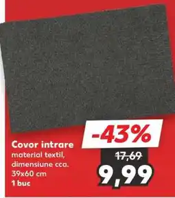 Kaufland Covor intrare Ofertă