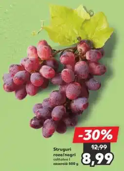 Kaufland Struguri roze/negru Ofertă