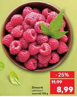 Kaufland Zmeură Ofertă