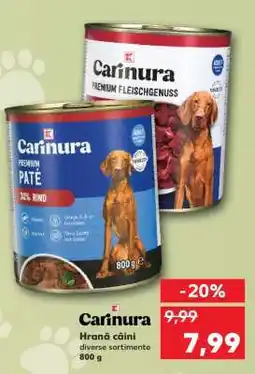 Kaufland Carinura Hrană câini Ofertă