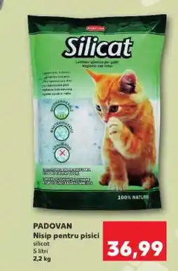 Kaufland PADOVAN Nisip pentru pisici Ofertă