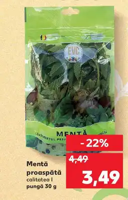 Kaufland Mentă proaspătă Ofertă
