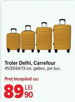Carrefour Troler Delhi, Carrefour Ofertă