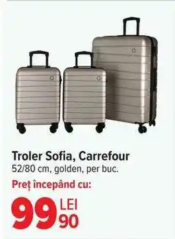 Carrefour Troler Sofia, Carrefour Ofertă
